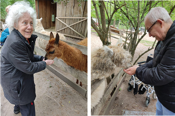 Schweriner Demenz WG besucht den Zoo