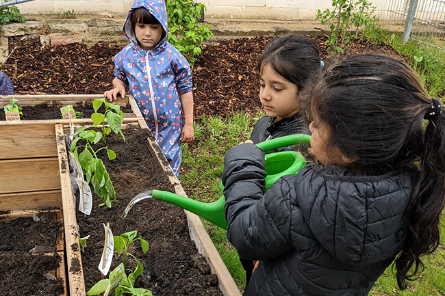 Aus Klein wird Groß