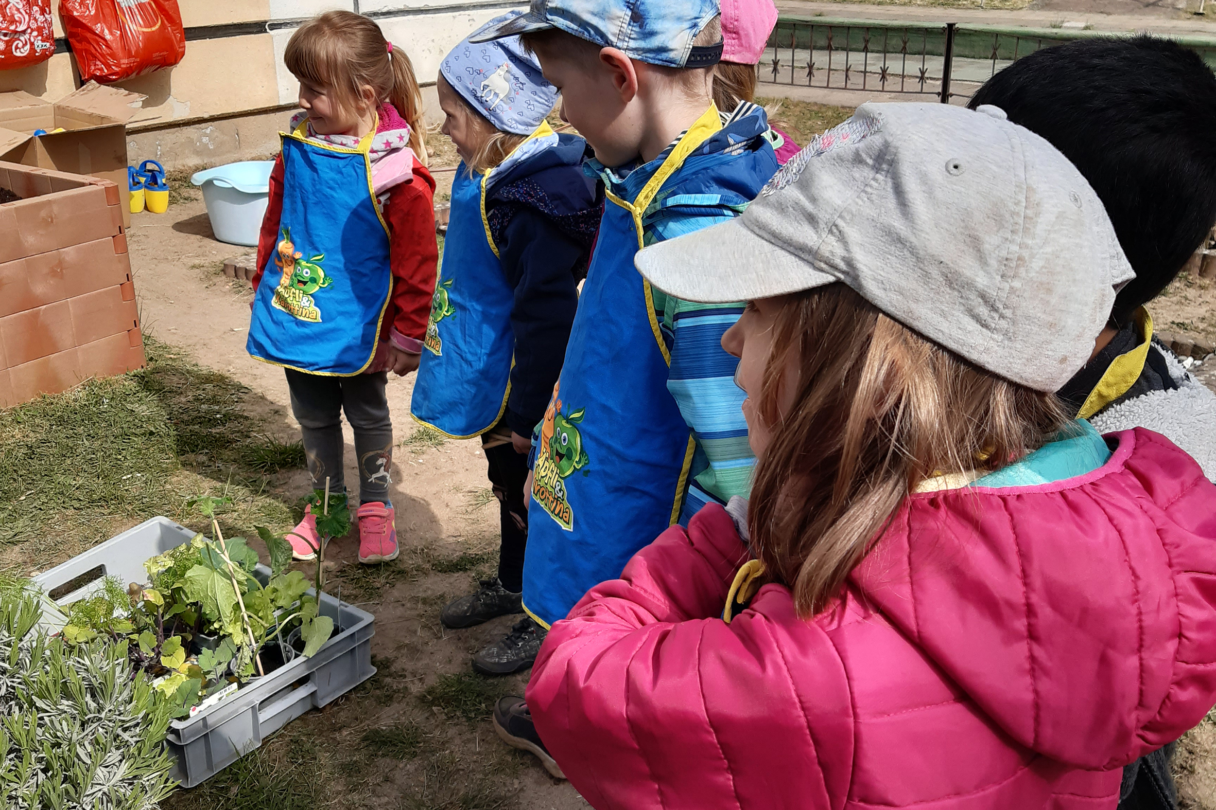 Aus Liebe zum Nachwuchs-Gemüsebeete für Kids