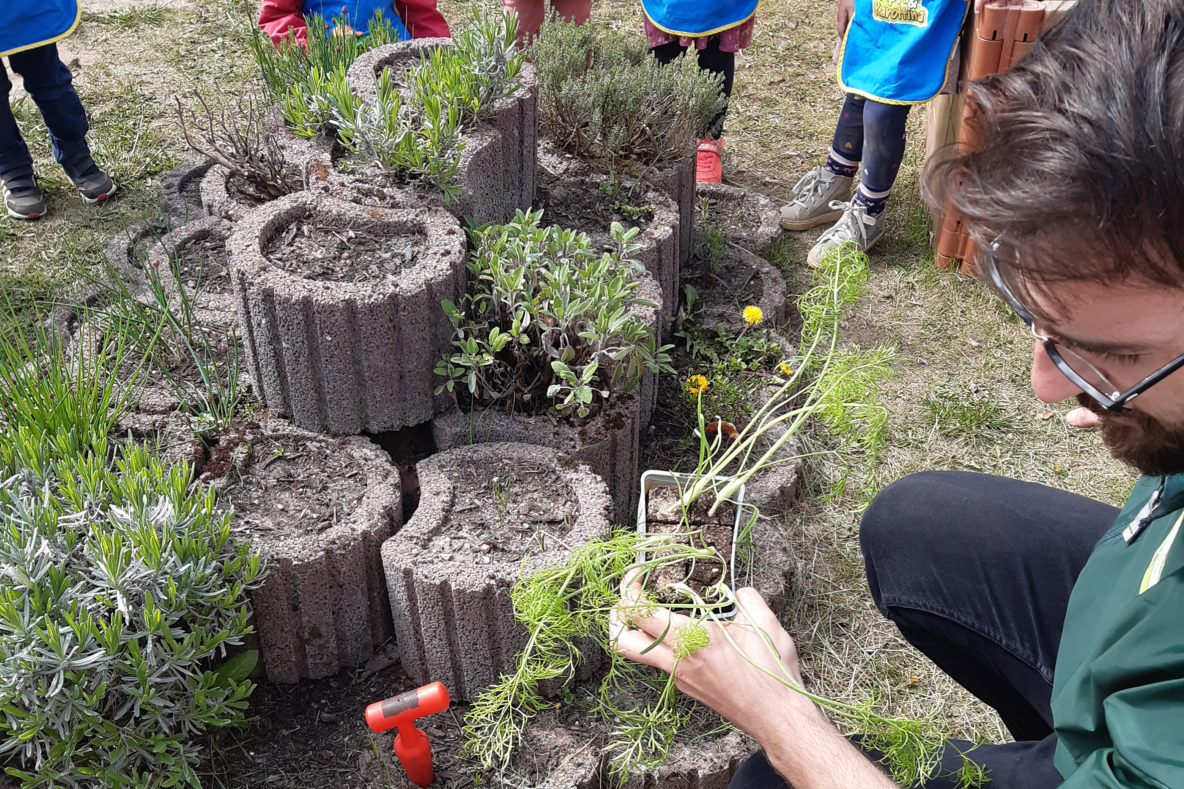 Aus Liebe zum Nachwuchs-Gemüsebeete für Kids