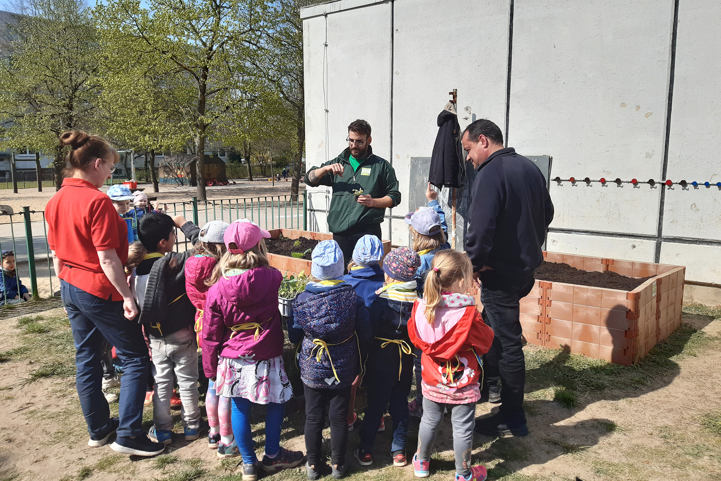 Aus Liebe zum Nachwuchs-Gemüsebeete für Kids