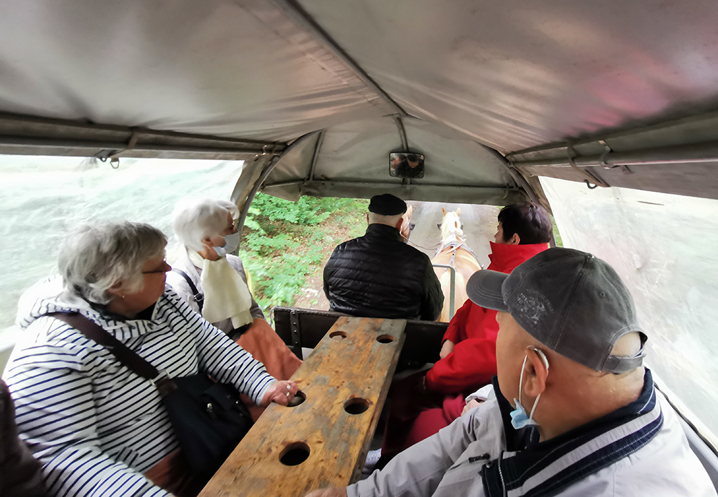 Tagespflege auf Kremser Fahrt