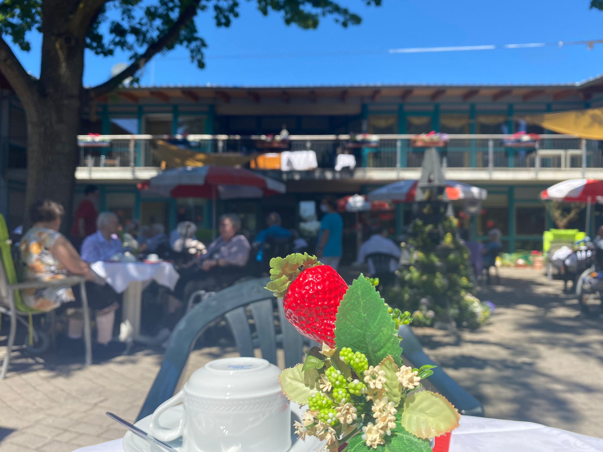 Erdbeerfest in Schelfwerder